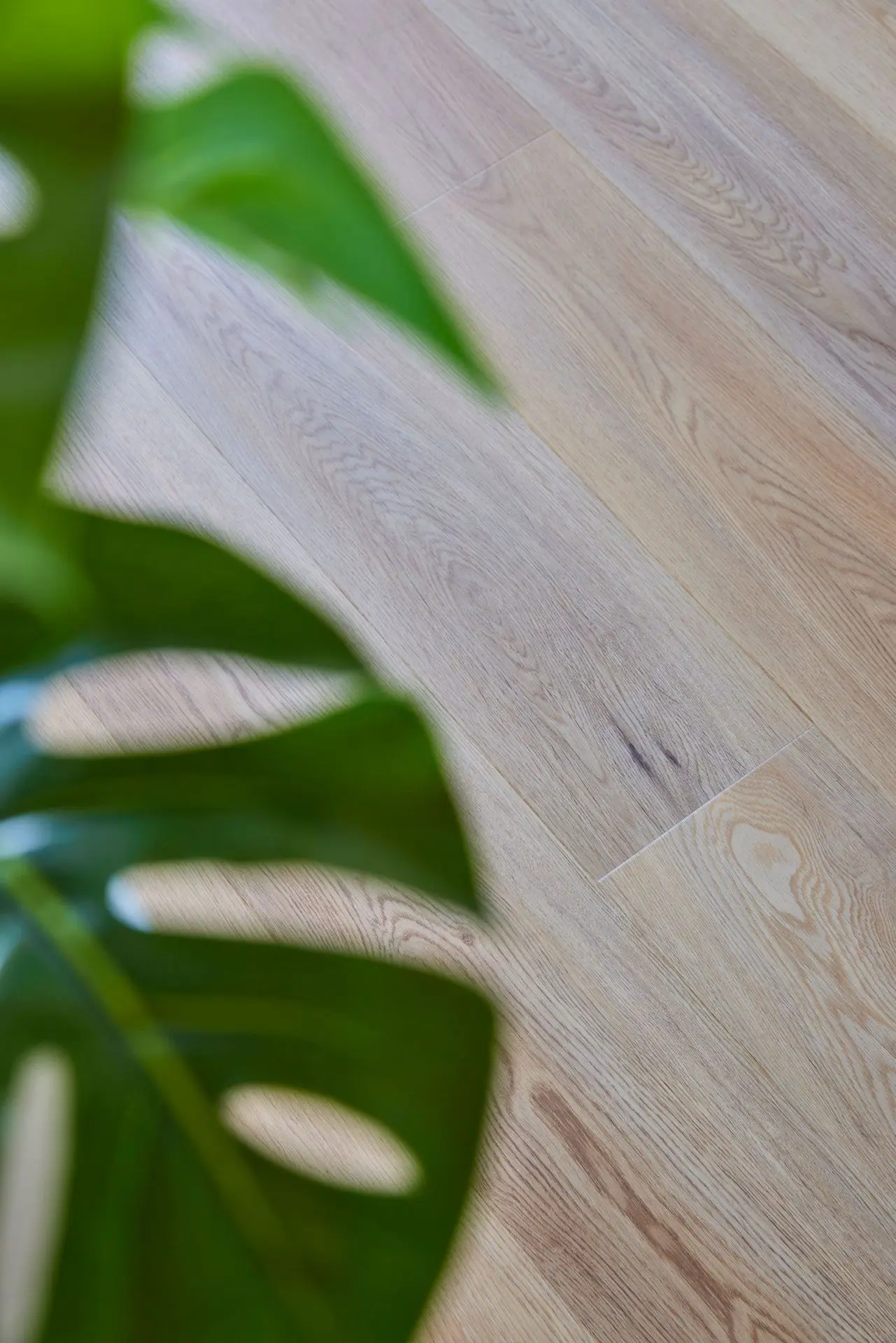 Occitane cider Occitane cider 17,6/121,3/0,5 (clickvinyl+ondervloer)