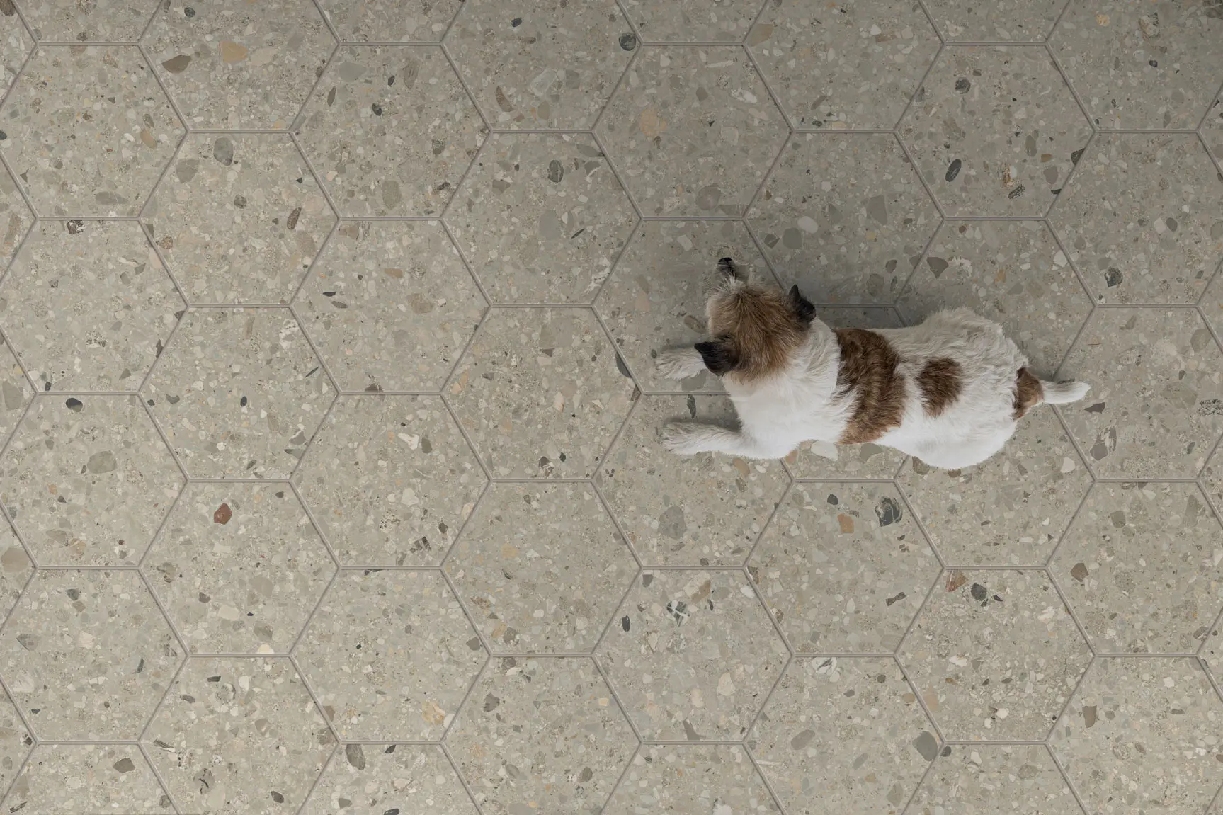 Seatle shade cold esa