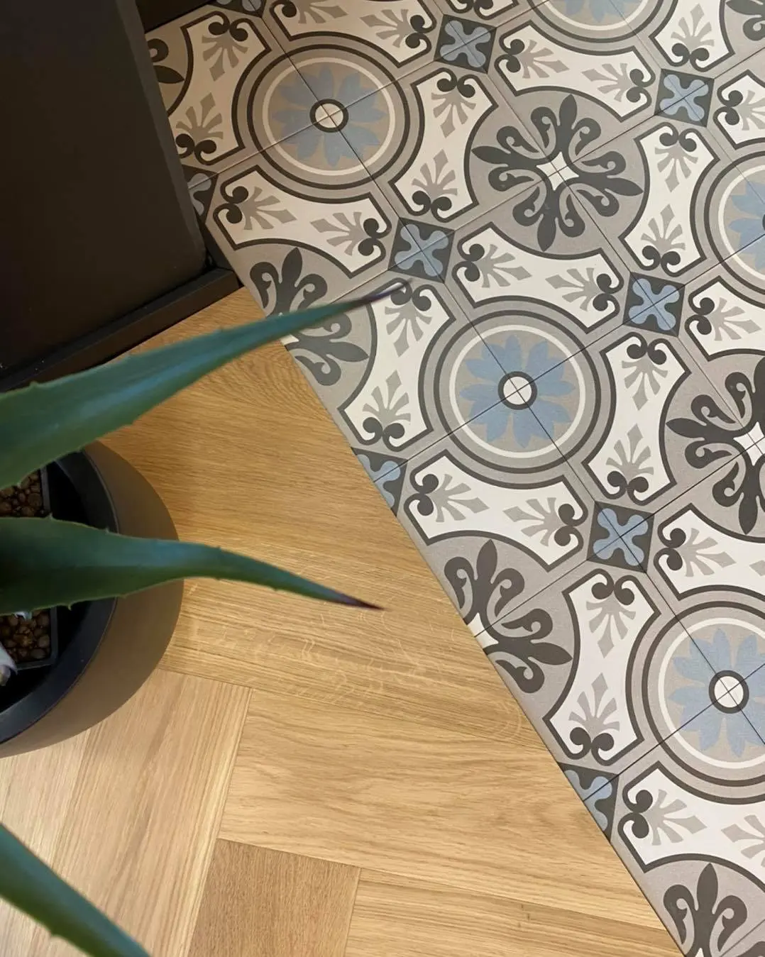 Madeleine Lilou classic