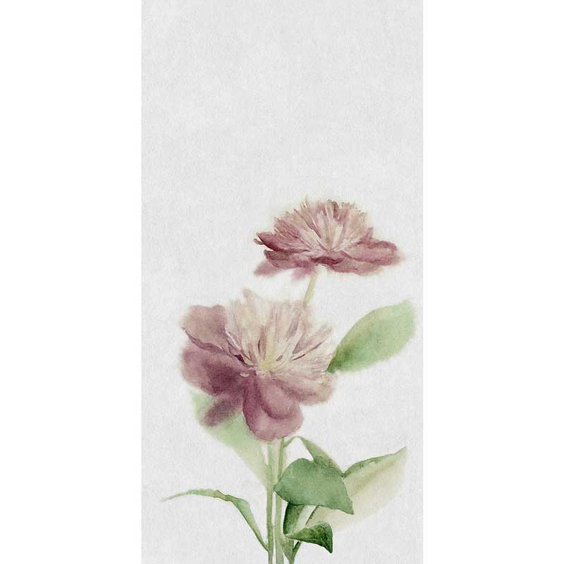 Cosmos romantic A 50/100/0,35 nat/rett.