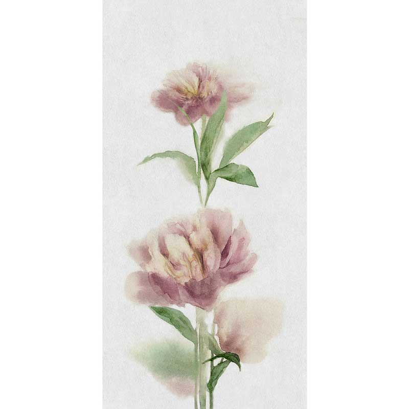 Cosmos romantic B 50/100/0,35 nat/rett.