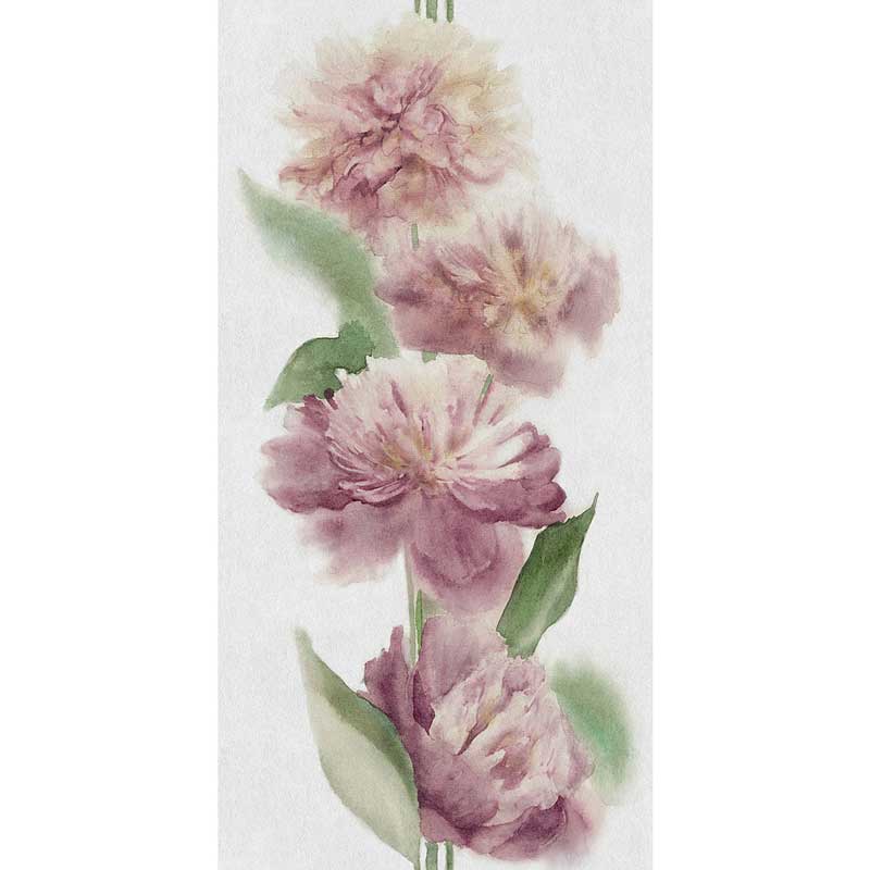 Cosmos romantic D 50/100/0,35 nat/rett.