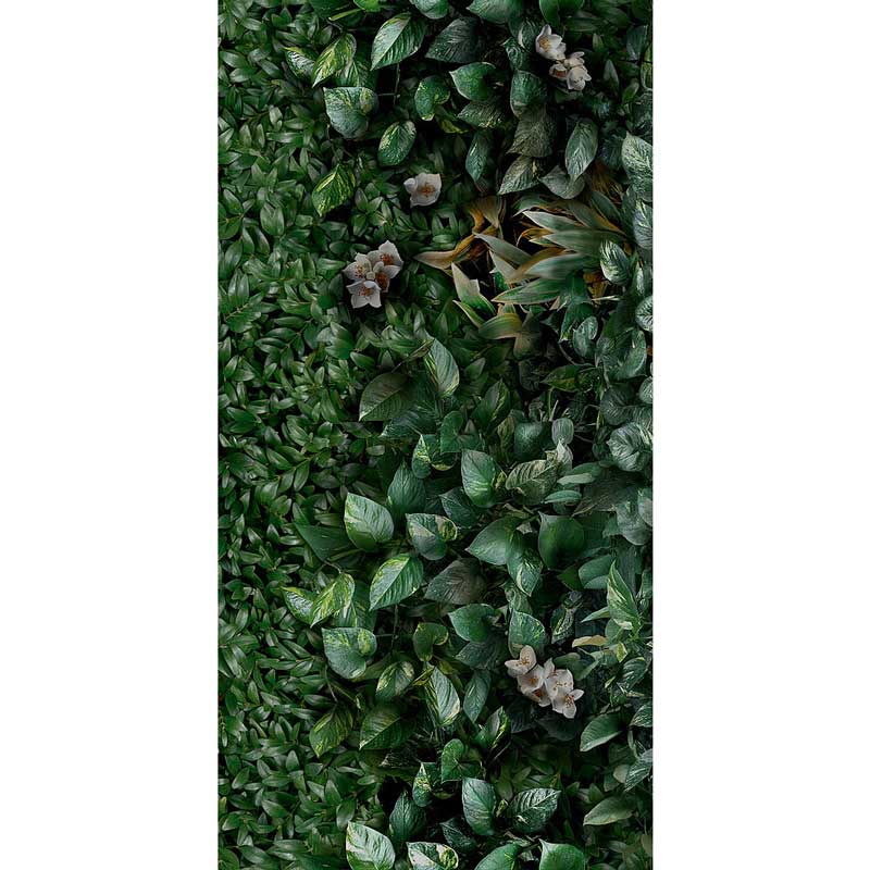 Cosmos lush A 50/100/0,35 nat/rett.