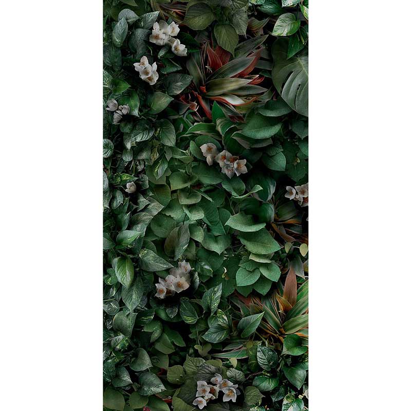 Cosmos lush B 50/100/0,35 nat/rett.