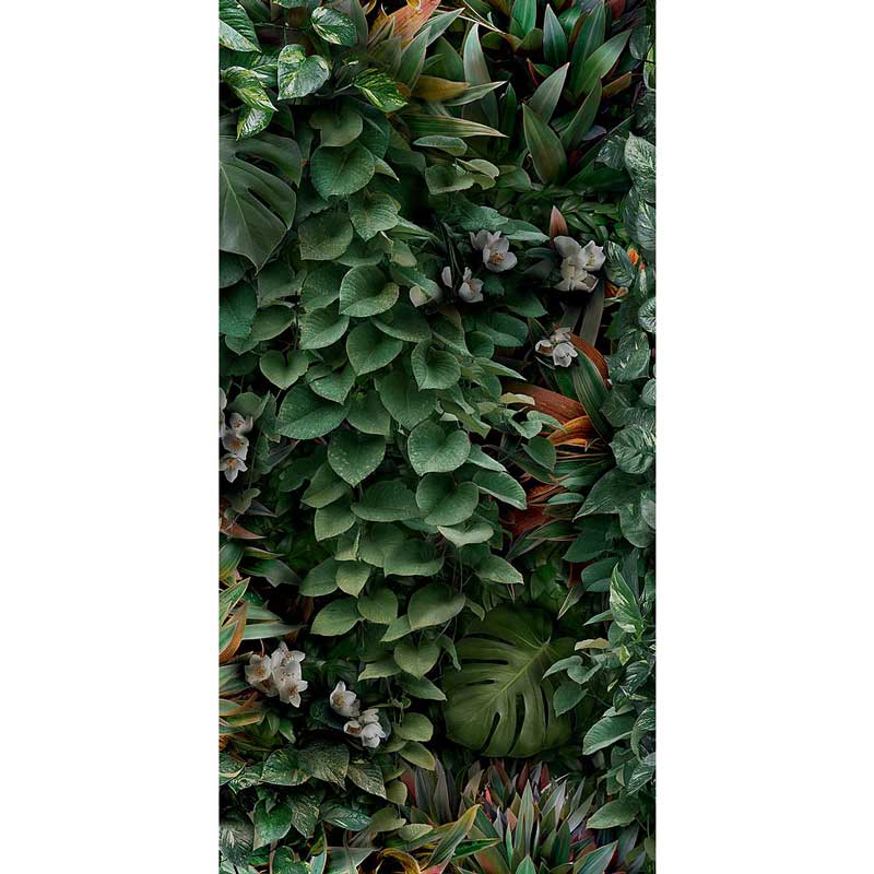 Cosmos lush C 50/100/0,35 nat/rett.