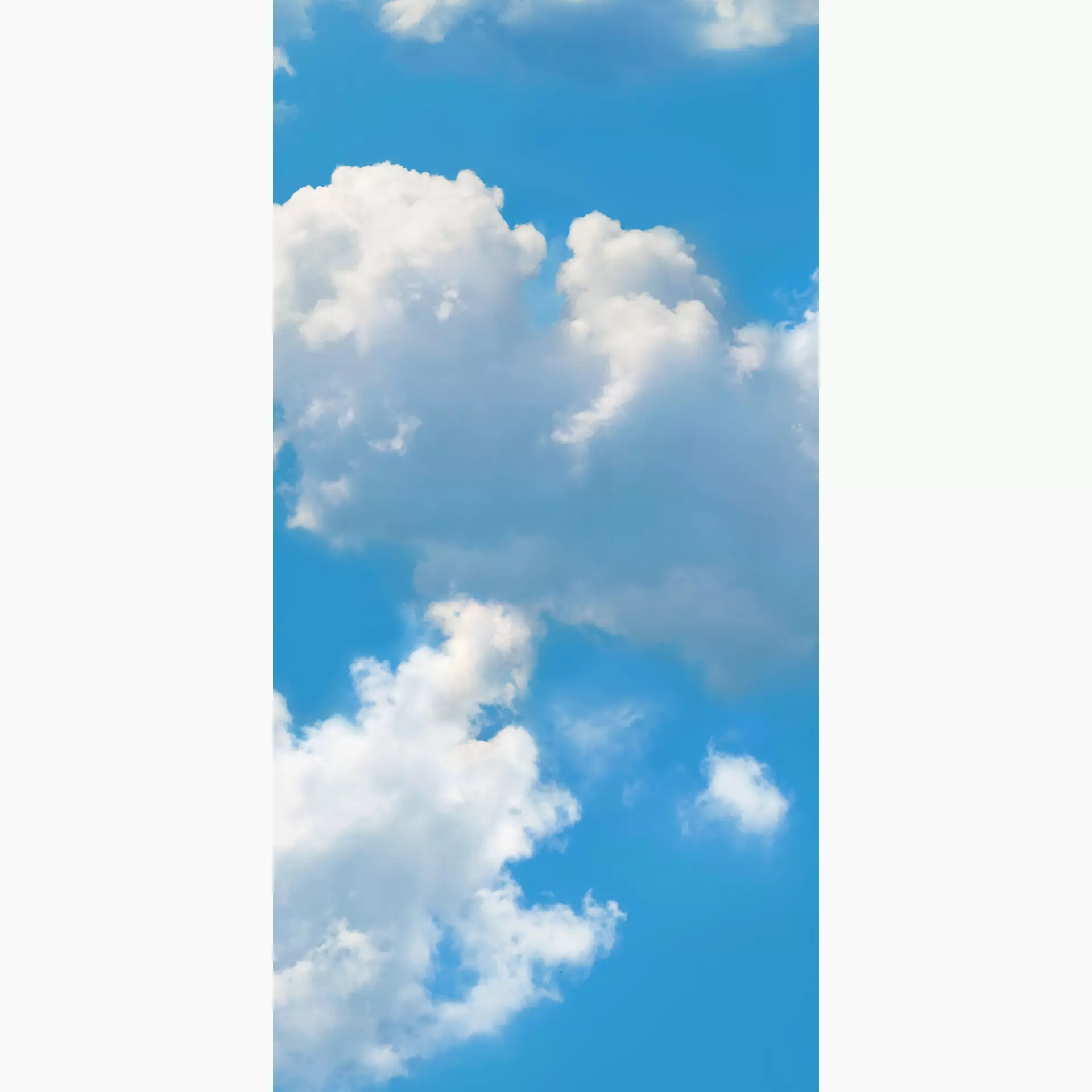 Cosmos sky F 50/100/0,35 nat/rett.