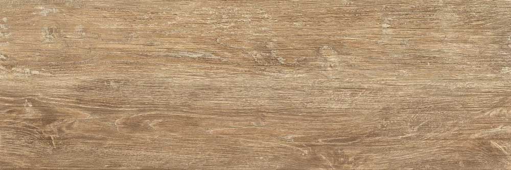 Heide esdoorn 40/120/2,0 strutt/rett.