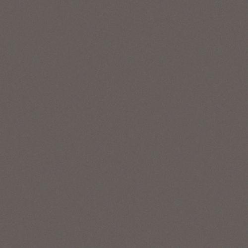 Simplicity antracite 10/10/0,68 matt (op net)