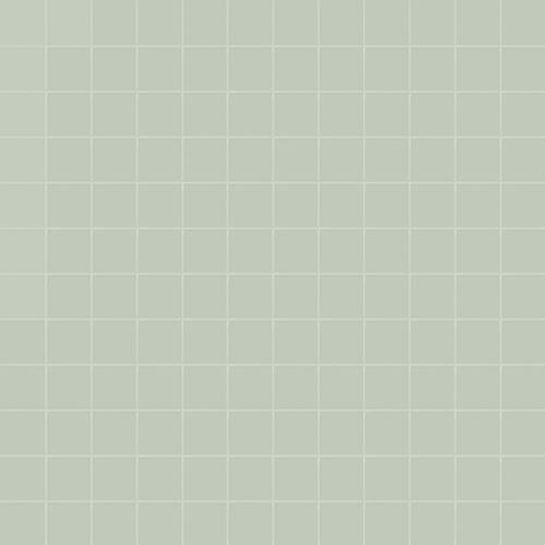 Simplicity edera 2,5/2,5/0,55 matt (op net)