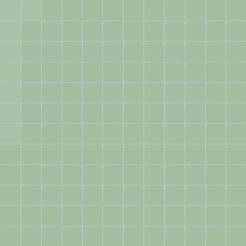 Simplicity aloe 2,5/2,5/0,55 matt (op net)