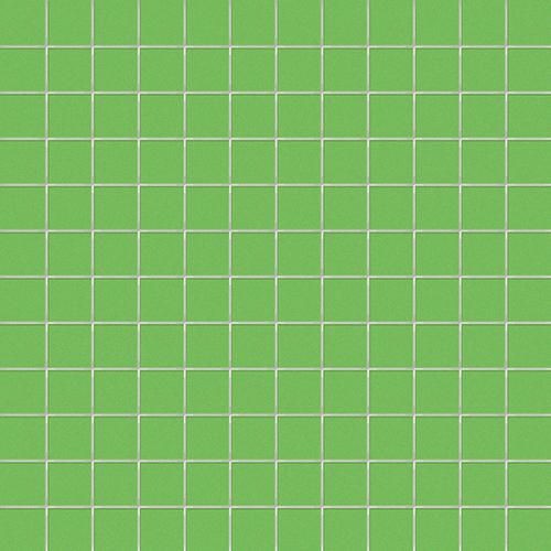 Simplicity kiwi 2,5/2,5/0,55 matt (op net)