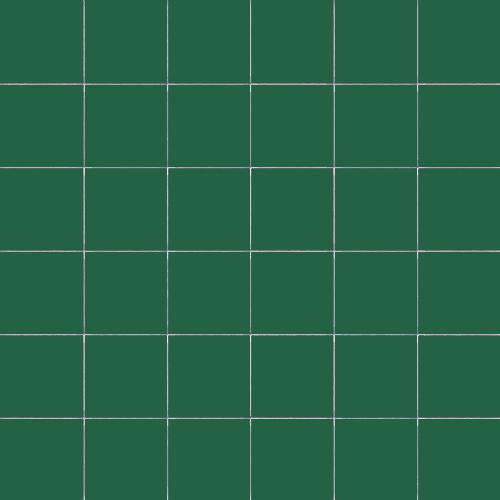 Simplicity felce 5/5/0,55 matt (op net)