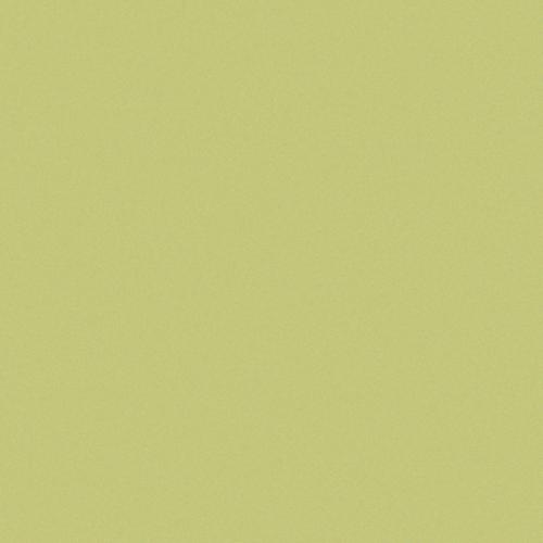 Simplicity mela 5/5/0,55 matt