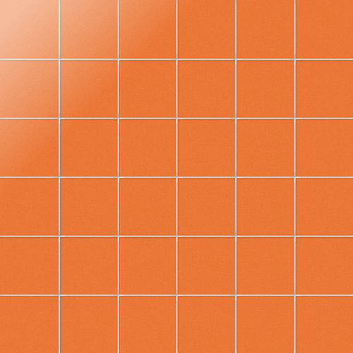 Simplicity arenaria 5/5/0,55 glossy (op net)