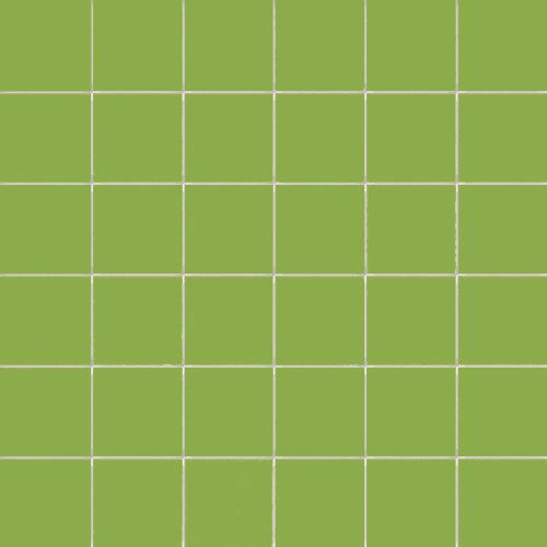 Simplicity lime 5/5/0,55 glossy (op net)