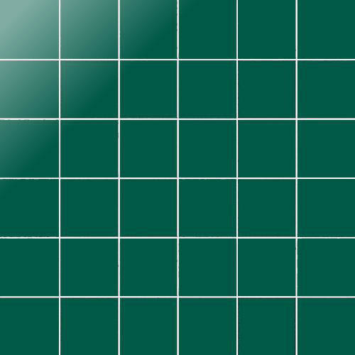 Simplicity rame 5/5/0,55 glossy (op net)