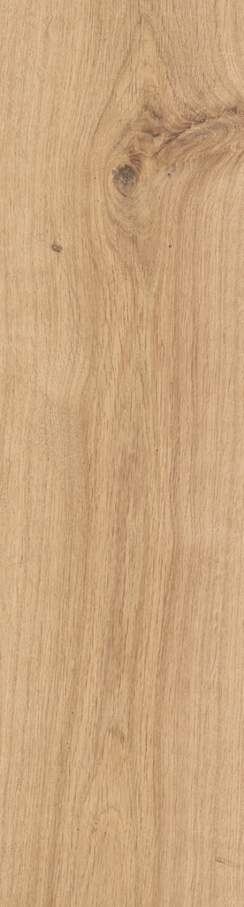 Tradizione ash solid 30/120/0,95 nat/rett.