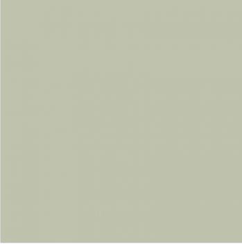 Uni 6.1 mint green 20/20/1,6