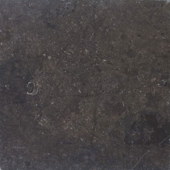 Blauwe Steen antico 60/60/2,0 NG