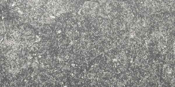 Blauwe Steen dalle de Soignies licht aspect 40/80/2,0 TK