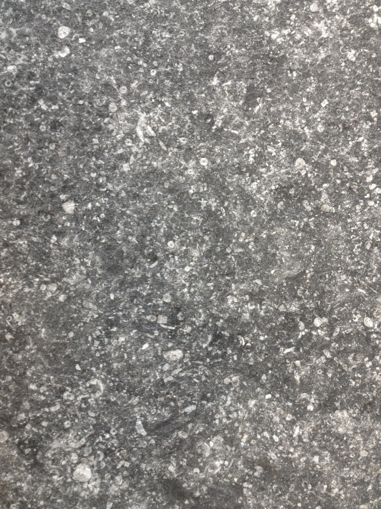 Blauwe steen vieux bleu belge banden 60/2,0