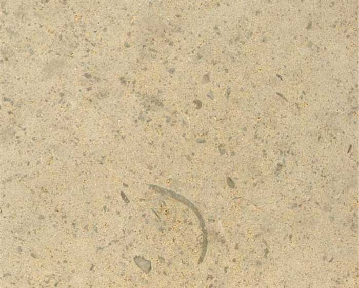 Massangis beige claire banden 40/2,0