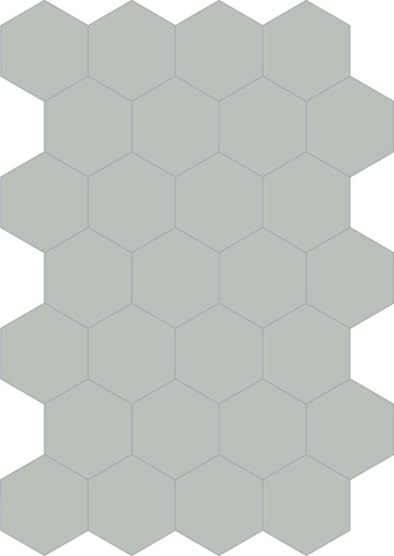 [330.031.0048] Colors hexagon nebbia 20/23/1,4