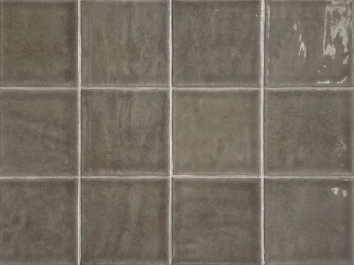 [342.003.0004] Typic grey 10/10/0,9 glanz.