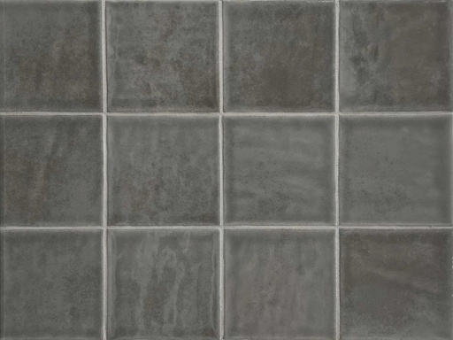 [342.003.0005] Typic mud 10/10/0,9 glanz.