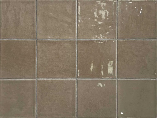 [342.003.0006] Typic mou 10/10/0,9 glanz.