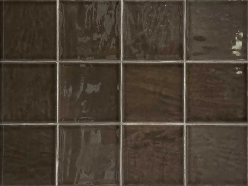 [342.003.0008] Typic coffee 10/10/0,9 glanz.