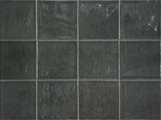 [342.003.0009] Typic graphite 10/10/0,9 glanz.