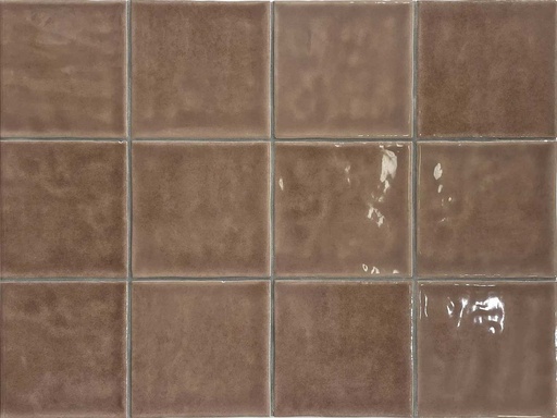 [342.003.0011] Typic terracotta 10/10/0,9 glanz.