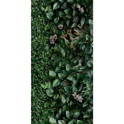 [400.046.0029] Cosmos lush A 50/100/0,35 nat/rett.