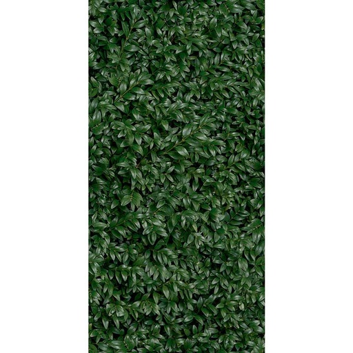 [400.046.0033] Cosmos lush E 50/100/0,35 nat/rett.