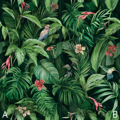 [400.046.0035] Cosmos parrot A+B 50/100/0,35 nat/rett.