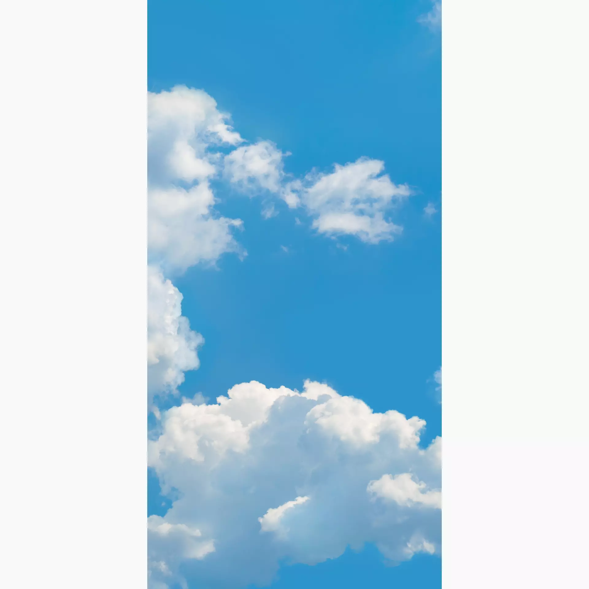 [400.046.0039] Cosmos sky A 50/100/0,35 nat/rett.