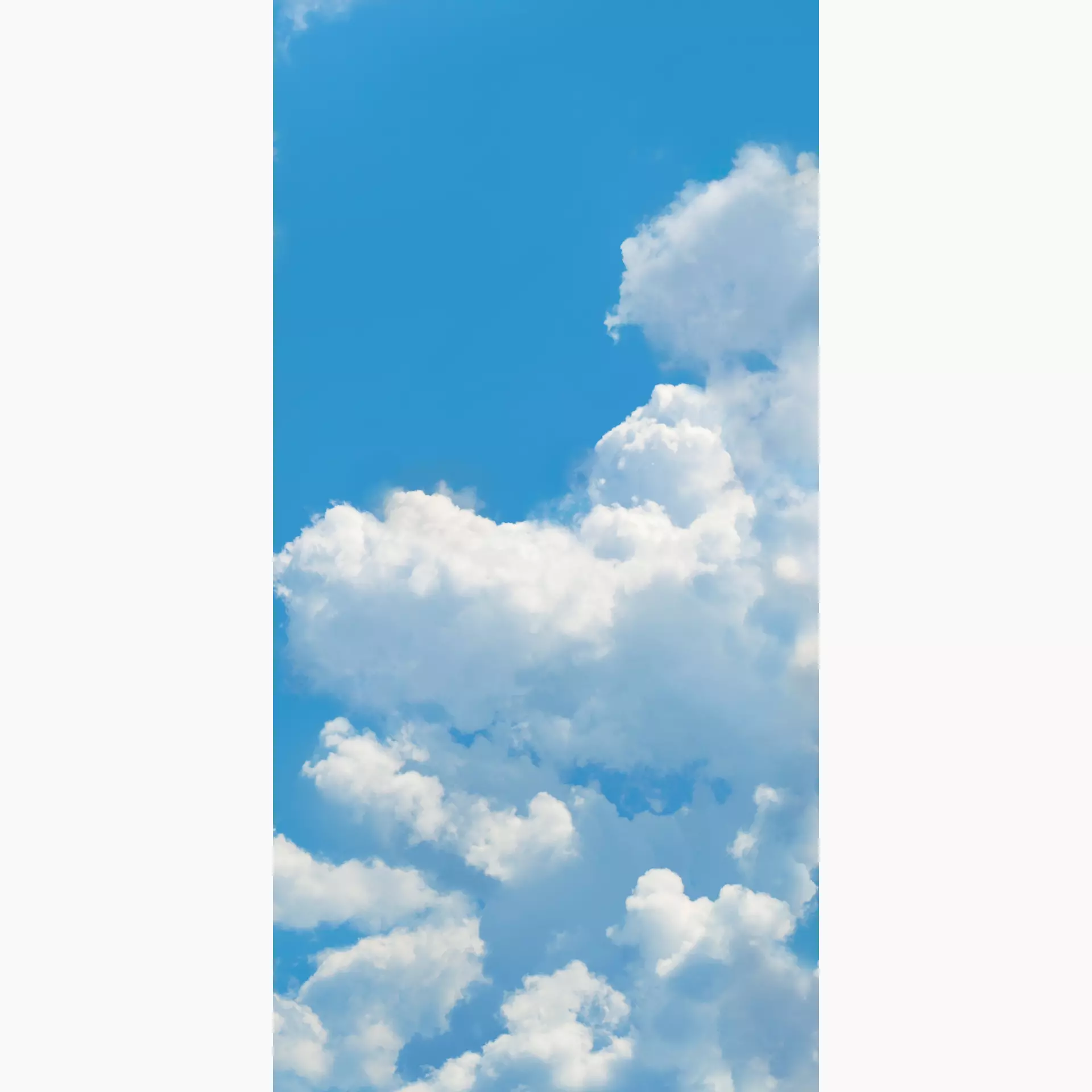 [400.046.0041] Cosmos sky C 50/100/0,35 nat/rett.