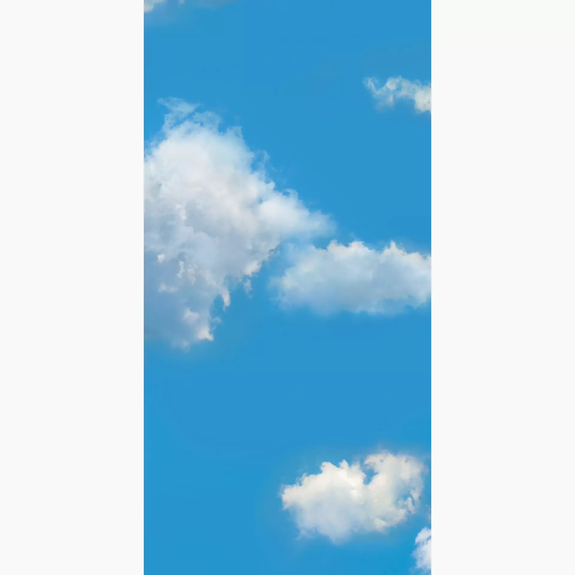 [400.046.0042] Cosmos sky D 50/100/0,35 nat/rett.