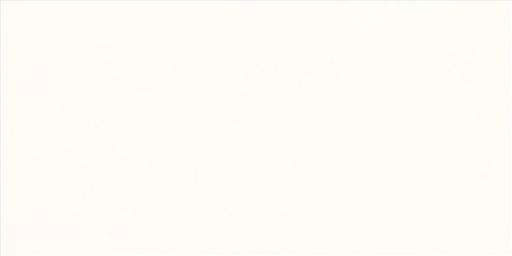 [LOT.1566] Extra wall white-beige 30/60/1,0 (FH/8) LOT