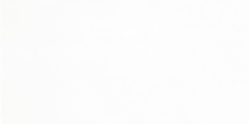 [LOT.1569] Extra wall white-grey 30/60/1,0 (FT/8) LOT