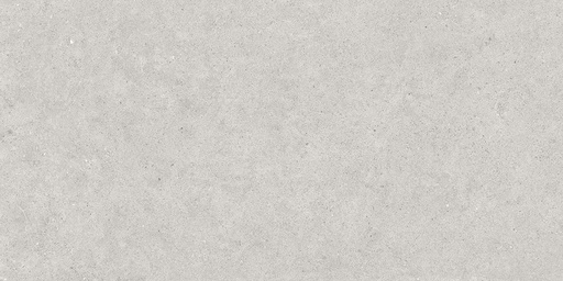 [LOT.1731] Atrium light grey 30/60/0,95 nat/rett. (00/0) LOT