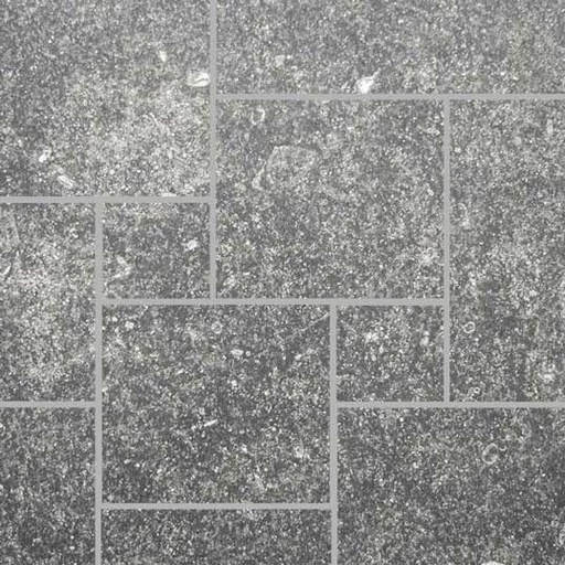 [NAT.008.1330] Blauwe Steen dalle de Soignies licht aspect romeins verb /3,