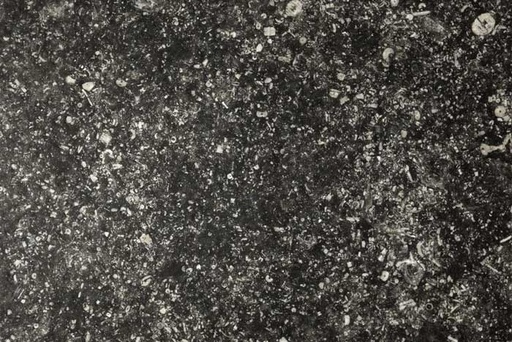 [NAT.008.1430] Blauwe Steen conception VL/2,0 TK