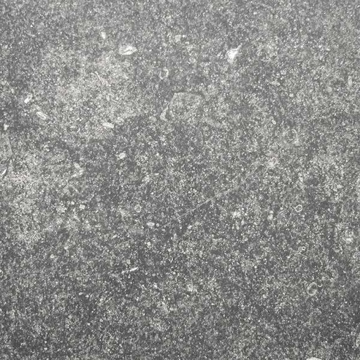 [NAT.008.1849] Blauwe Steen dalle de Soignies licht aspect 30/30/3,0 TK