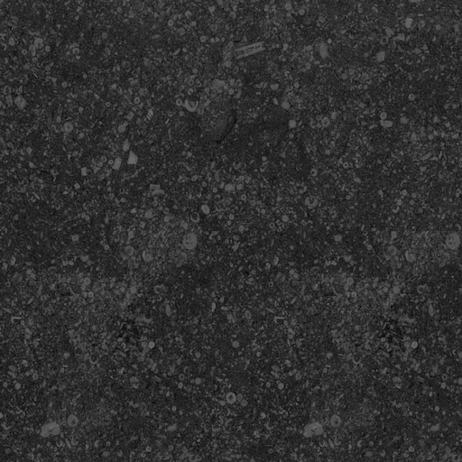 [NAT.008.1855] Blauwe Steen dalle de Soignies zwart aspect 30/30/2,0 TK