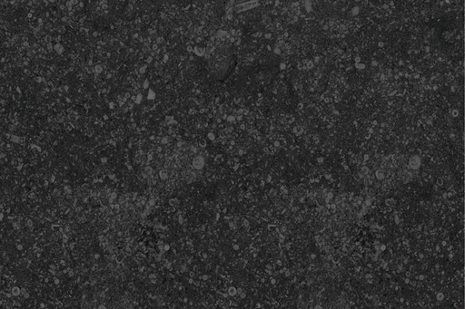 [NAT.008.1857] Blauwe Steen dalle de Soignies zwart aspect 40/80/2,0 TK