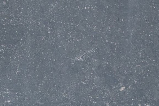 [NAT.008.1868] Blauwe Steen licht gezoet VL/1,5 NG