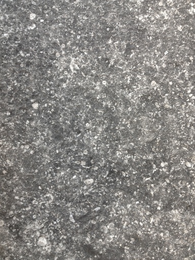 [NAT.008.1977] Blauwe steen vieux bleu belge banden 60/2,0