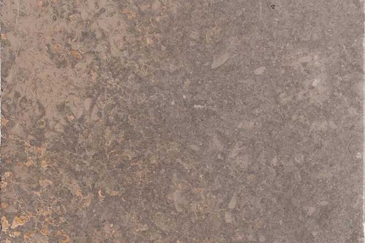 [NAT.138.0007] Muschelkalk antico 60/90/3,0